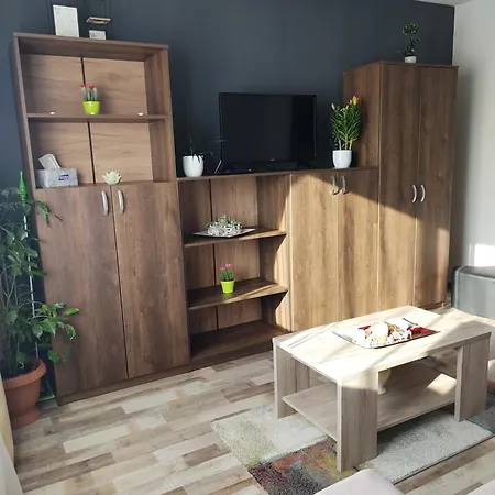 Casa Lui Andrei Apartment