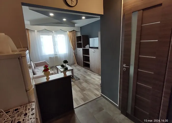 アパート Casa Lui Andrei *