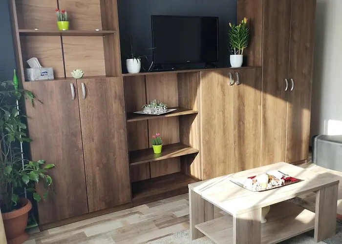 Casa Lui Andrei Apartment